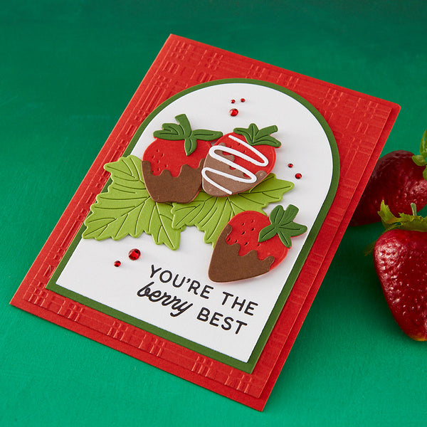 Berry Best Etched Dies for Coordinating Stamp Set By Simon Hurley