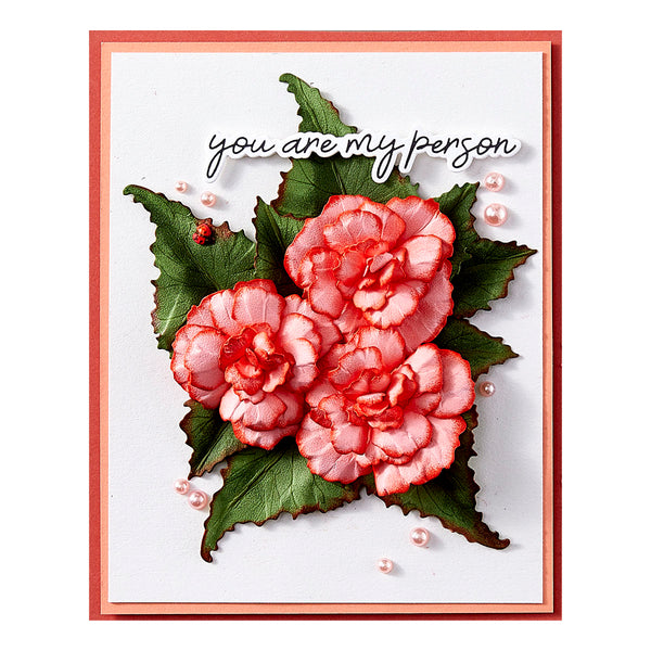 Begonia and Ladybugs by Susan Tierney-Cockburn