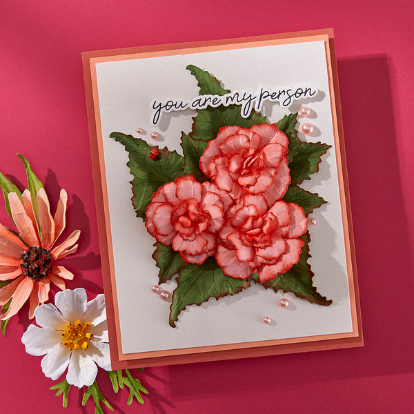 Begonia and Ladybugs by Susan Tierney-Cockburn