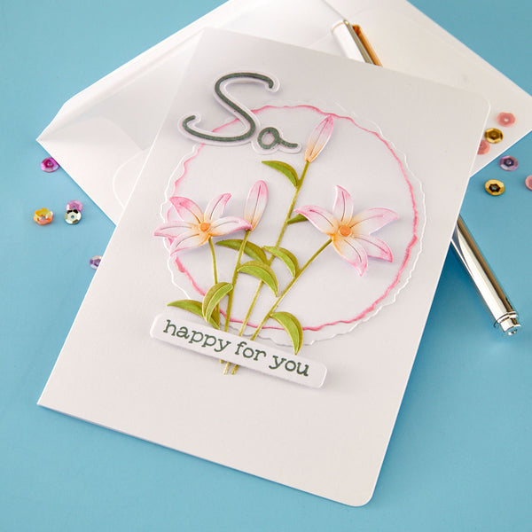 So Amazing Sentiments Clear Stamp & Die Set by Lisa Horton