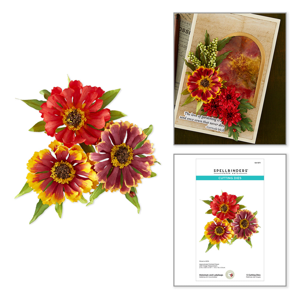 Helenium and Ladybugs Etched Dies by Susan Tierney-Cockburn
