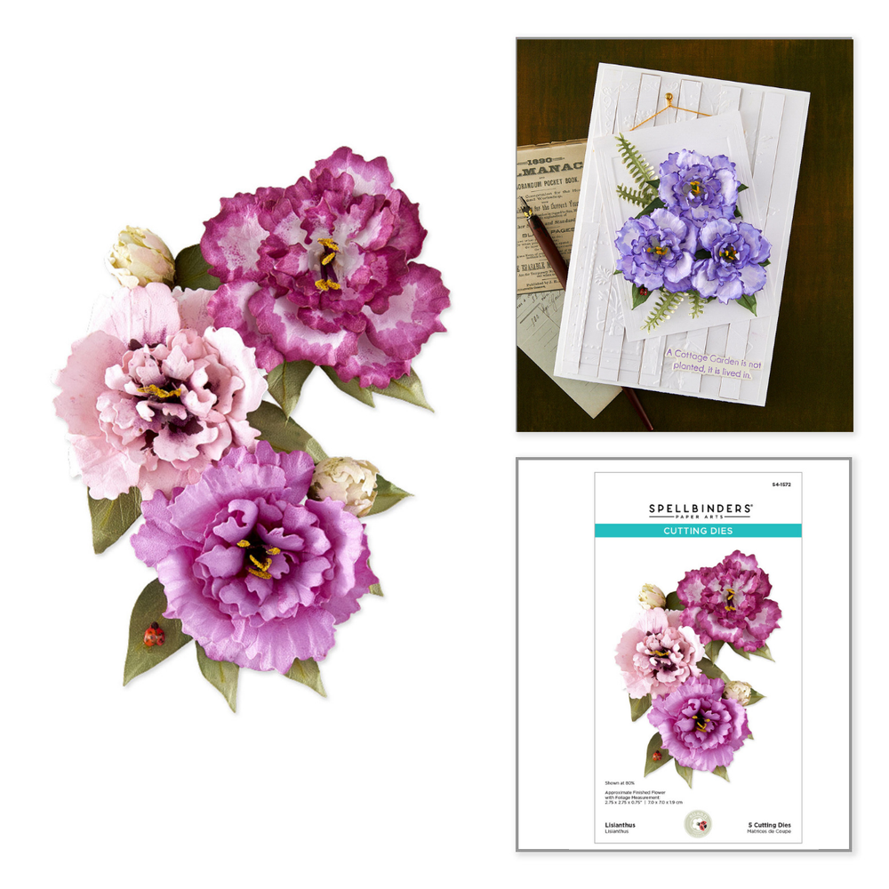 Lisianthus Etched Dies by Susan Tierney-Cockburn
