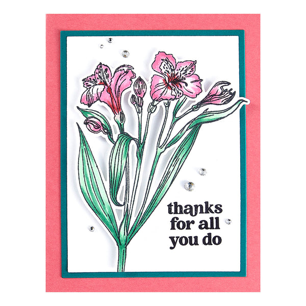 Heartfelt blooms Etched Dies for Coordinating Stamp Set By Simon Hurley