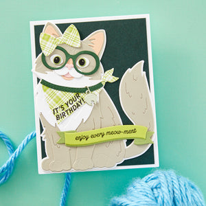 Cats and Pugs Sentiments Clear Stamp Set by Bibi Cameron