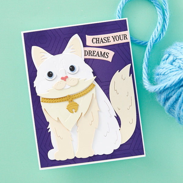 Cats and Pugs Sentiments Clear Stamp Set by Bibi Cameron