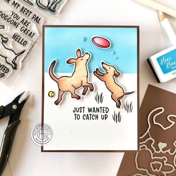 Hero Arts Playful Pets Stamps & Dies Bundle