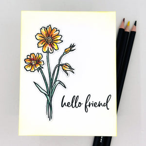 Hero Arts Wild Flowers Stamps & Dies Bundle