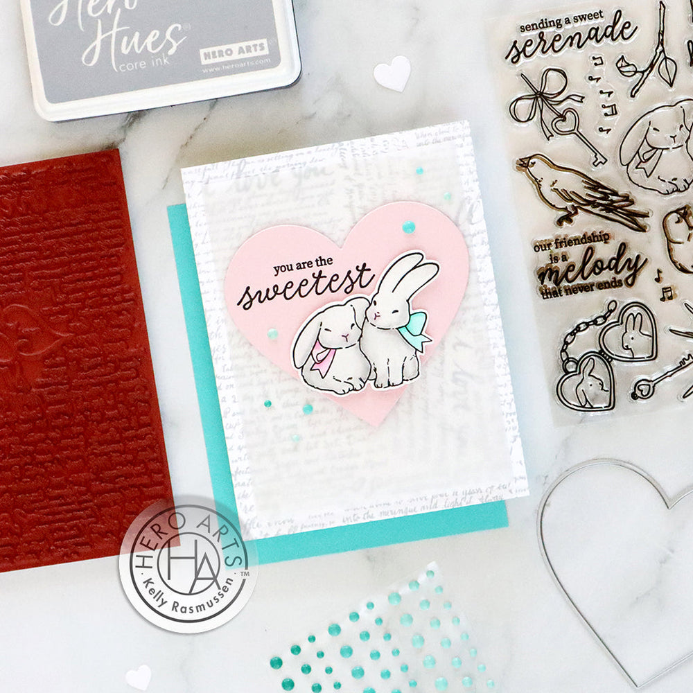 Hero Arts Love Bird & Friends Stamps & Dies Bundle
