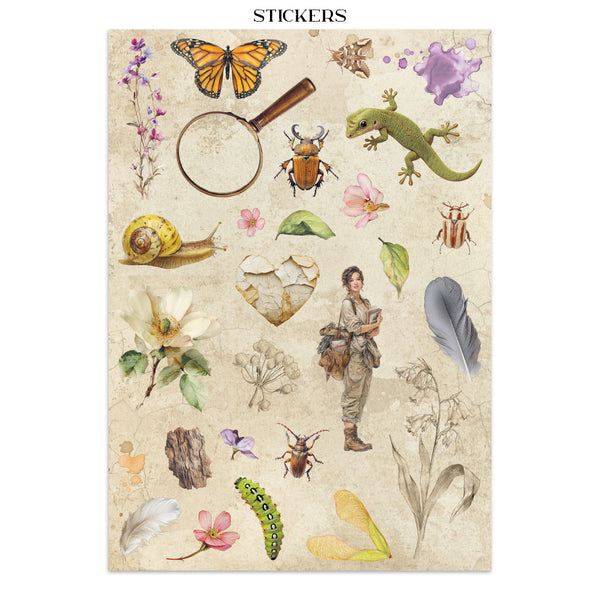 Stamperia All Around Junk Journal
