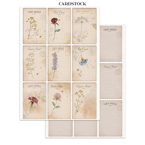 Stamperia Junk Journal Focus Points - Flowers and Poems