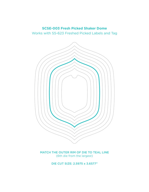 Fresh Picked Shaker Dome - 6 Pack
