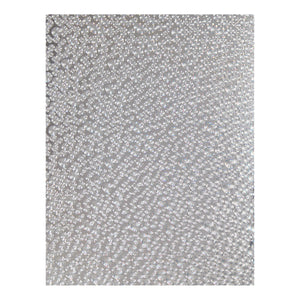 Holographic Assortment Specialty Cardstock