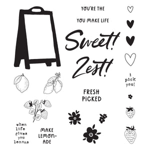 Pink Lemonade Stamp & Die Bundle with Simple Stories
