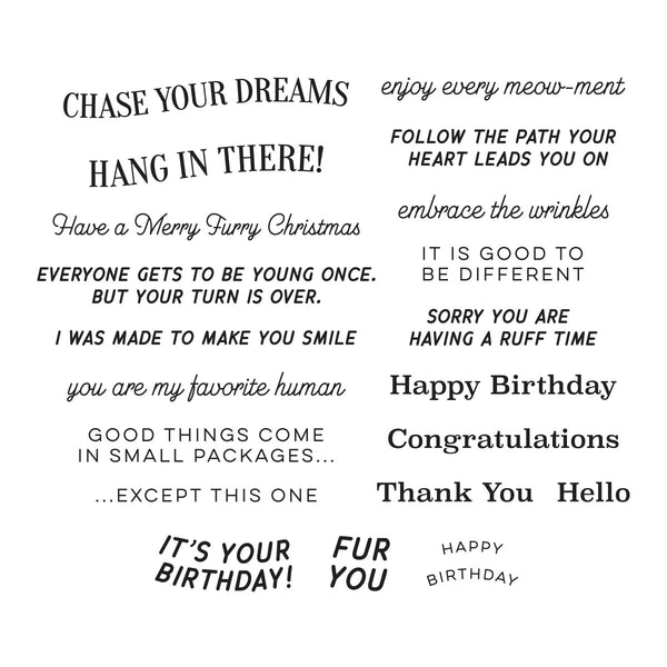 Cats and Pugs Sentiments Clear Stamp Set by Bibi Cameron