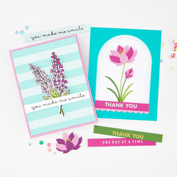 Hero Arts Sentiment Strips XL Die