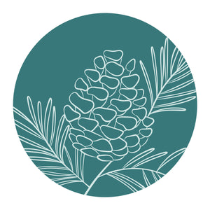 Pine Cone Spray Wax Seal Stamp from the Sealed for Christmas Collection