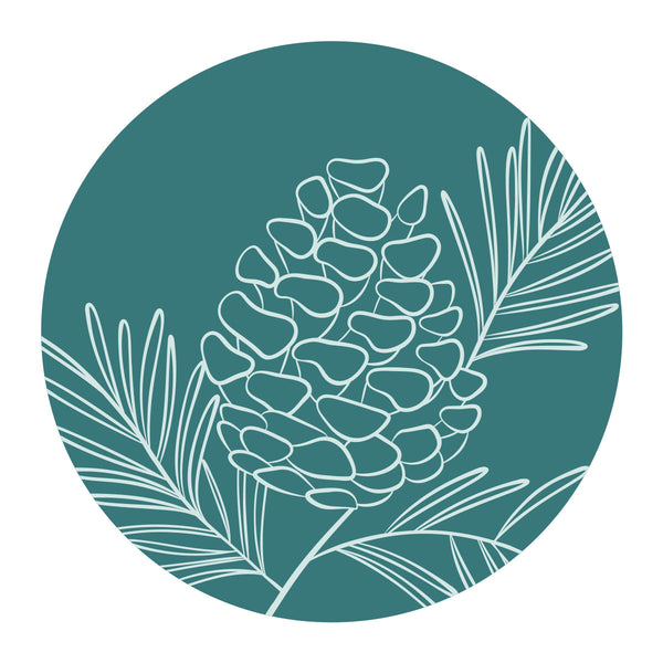 Pine Cone Spray Wax Seal Stamp from the Sealed for Christmas Collection