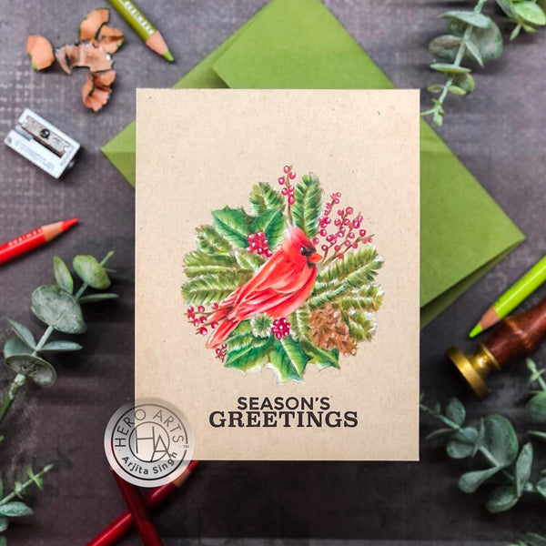 Hero Arts Holiday Cardinal Stamps & Dies Bundle