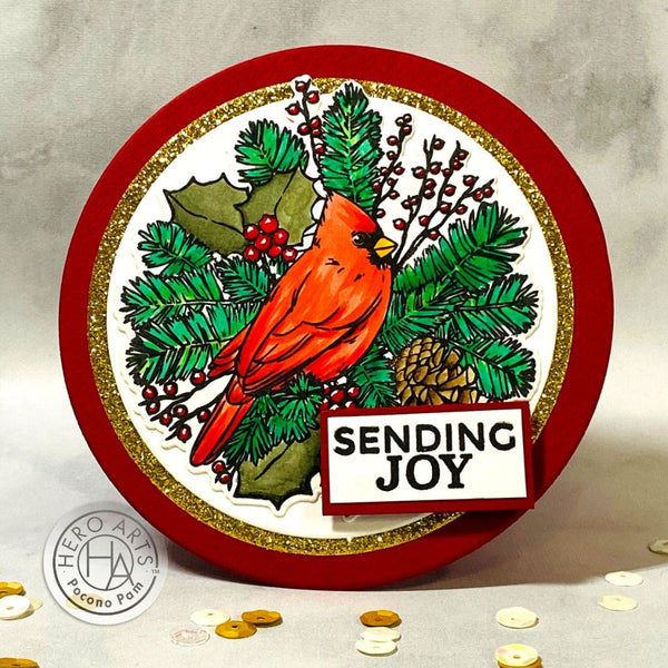 Hero Arts Holiday Cardinal Stamps & Dies Bundle