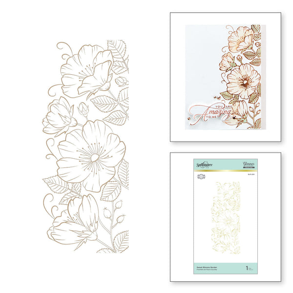 Sweet Blooms Border Glimmer Hot Foil Plate from Delicate Impressions Collection by Becca Feeken (GLP-234) Combo Image