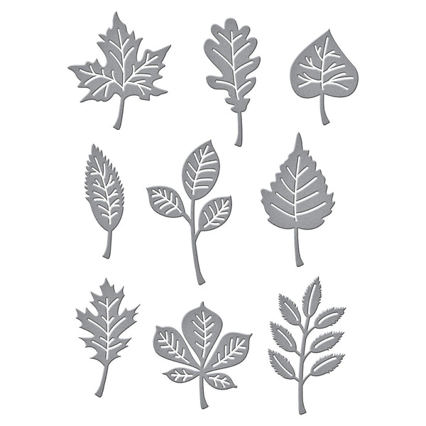 Autumn Leaves Etched Dies from the Fall Traditions Collection