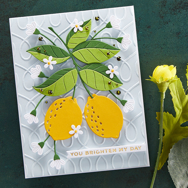 Loops Embossing Folder from the Be Bold Collection